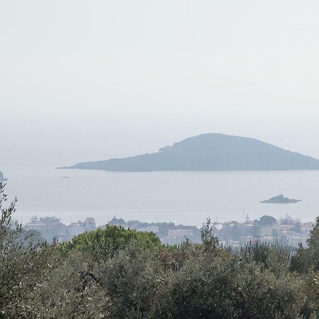 Armamento Villa Moni Evaggelistrias Εξωτερικό φωτογραφία